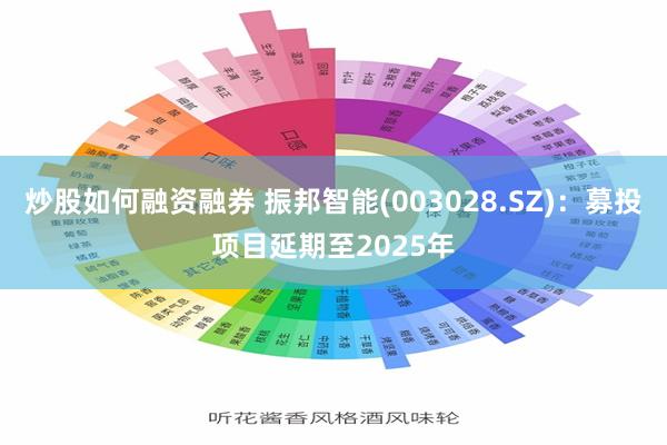 炒股如何融资融券 振邦智能(003028.SZ)：募投项目延期至2025年