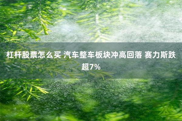 杠杆股票怎么买 汽车整车板块冲高回落 赛力斯跌超7%