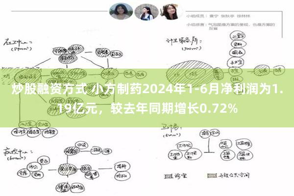 炒股融资方式 小方制药2024年1-6月净利润为1.19亿元，较去年同期增长0.72%