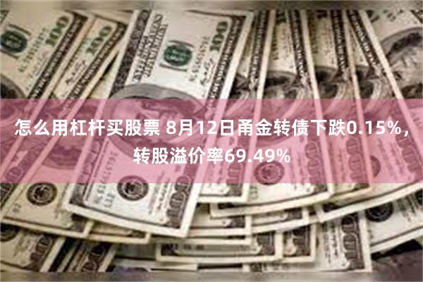 怎么用杠杆买股票 8月12日甬金转债下跌0.15%，转股溢价率69.49%