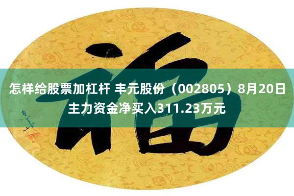 怎样给股票加杠杆 丰元股份（002805）8月20日主力资金净买入311.23万元