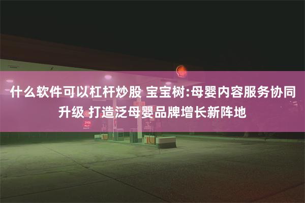 什么软件可以杠杆炒股 宝宝树:母婴内容服务协同升级 打造泛母婴品牌增长新阵地