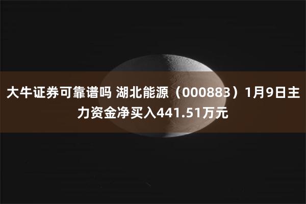 大牛证券可靠谱吗 湖北能源（000883）1月9日主力资金净买入441.51万元