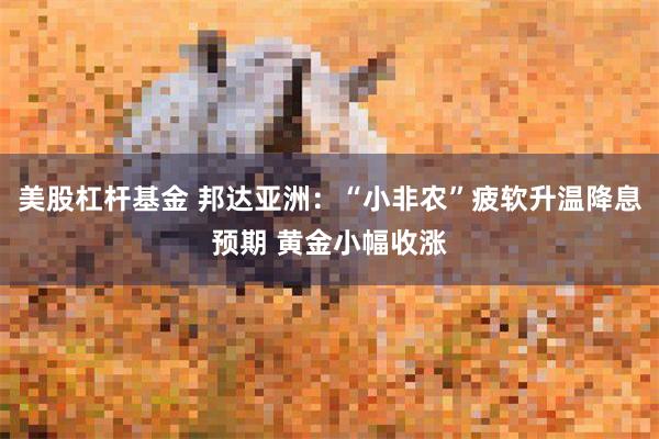 美股杠杆基金 邦达亚洲：“小非农”疲软升温降息预期 黄金小幅收涨