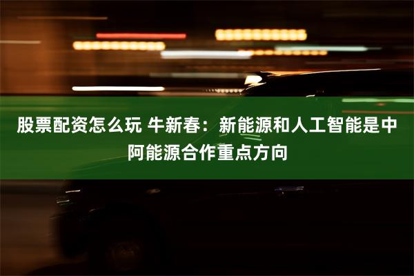 股票配资怎么玩 牛新春：新能源和人工智能是中阿能源合作重点方向